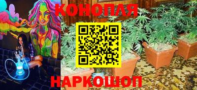 прущие грибы Апшеронск