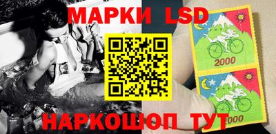 прущие грибы Апшеронск