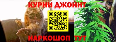 прущие грибы Апшеронск