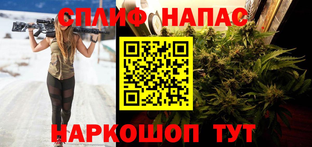 Марихуана конопля Ачхой-Мартан